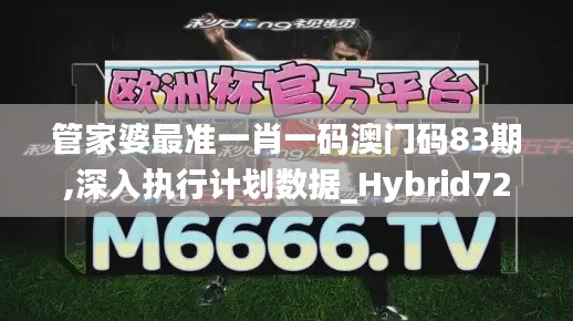 管家婆最准一肖一码澳门码83期,深入执行计划数据_Hybrid72.834-7