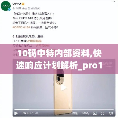 10码中特内部资料,快速响应计划解析_pro19.618-8