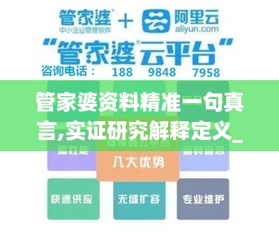 管家婆资料精准一句真言,实证研究解释定义_8DM31.829-1