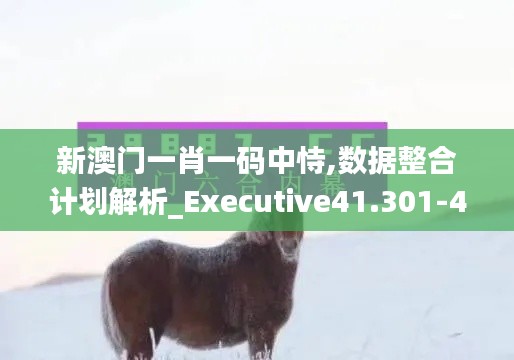新澳门一肖一码中恃,数据整合计划解析_Executive41.301-4