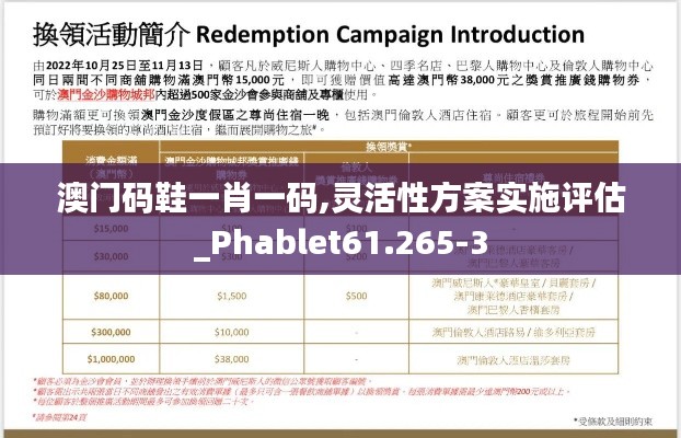 澳门码鞋一肖一码,灵活性方案实施评估_Phablet61.265-3