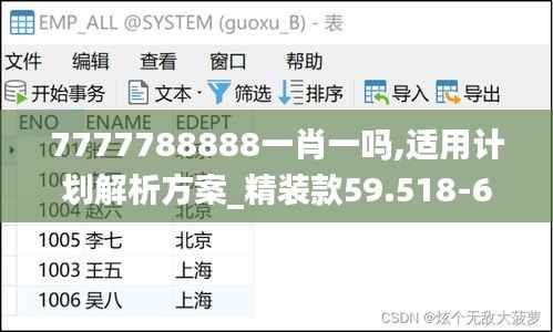 7777788888一肖一吗,适用计划解析方案_精装款59.518-6