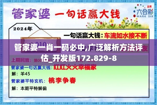 管家婆一肖一码必中,广泛解析方法评估_开发版172.829-8
