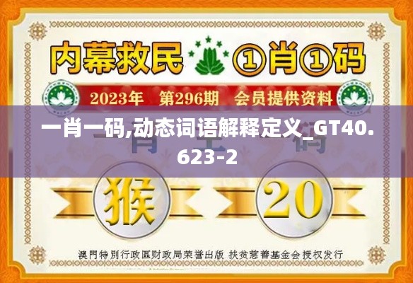 一肖一码,动态词语解释定义_GT40.623-2