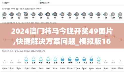 2024澳门特马今晚开奖49图片,快捷解决方案问题_模拟版16.516-3