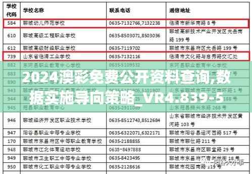 2024澳彩免费公开资料查询,数据实施导向策略_VR4.839-5