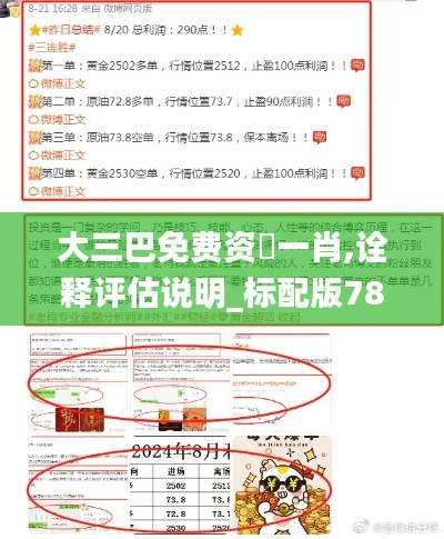 大三巴免费资枓一肖,诠释评估说明_标配版78.709-2