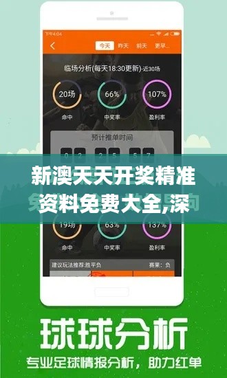 新澳天天开奖精准资料免费大全,深度数据应用实施_Tizen186.556-2