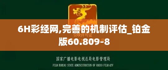 6H彩经网,完善的机制评估_铂金版60.809-8