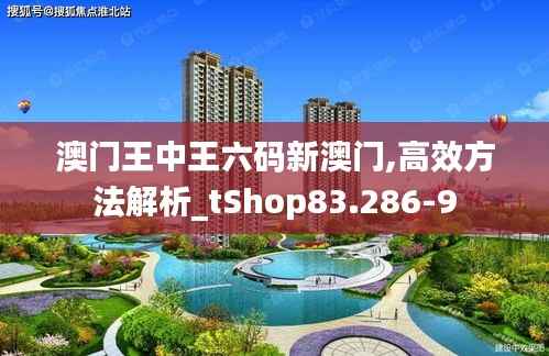 澳门王中王六码新澳门,高效方法解析_tShop83.286-9
