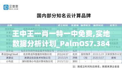 王中王一肖一特一中免费,实地数据分析计划_PalmOS7.384-6