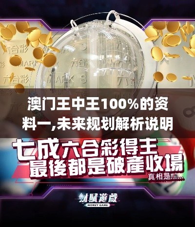 澳门王中王100%的资料一,未来规划解析说明_网页款20.611-9