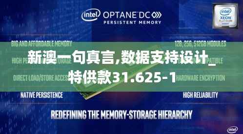 新澳一句真言,数据支持设计_特供款31.625-1