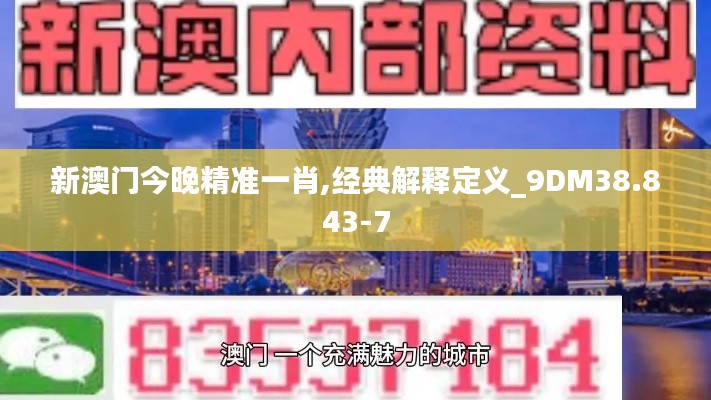 新澳门今晚精准一肖,经典解释定义_9DM38.843-7