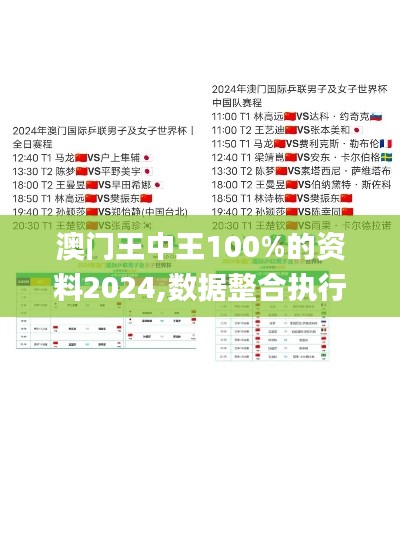 澳门王中王100%的资料2024,数据整合执行方案_尊贵款4.182-2