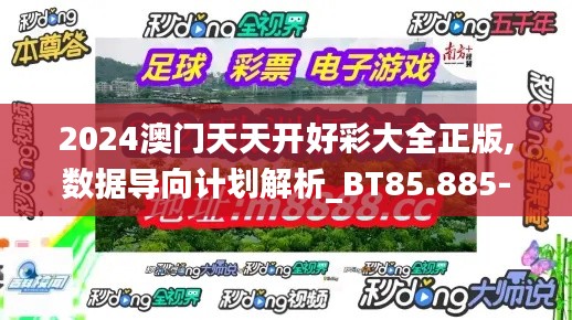 2024澳门天天开好彩大全正版,数据导向计划解析_BT85.885-4