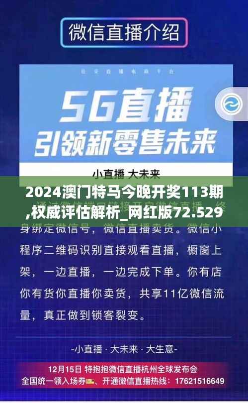 2024澳门特马今晚开奖113期,权威评估解析_网红版72.529-7