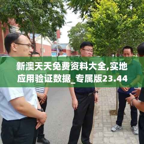 新澳天天免费资料大全,实地应用验证数据_专属版23.440-1