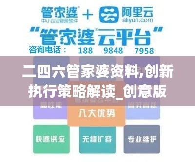 二四六管家婆资料,创新执行策略解读_创意版177.581-4