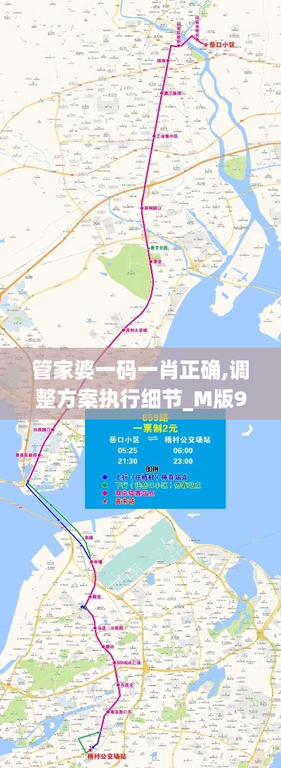 管家婆一码一肖正确,调整方案执行细节_M版99.217-8