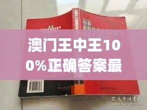 澳门王中王100%正确答案最新章节,实地验证分析数据_ios21.699-9