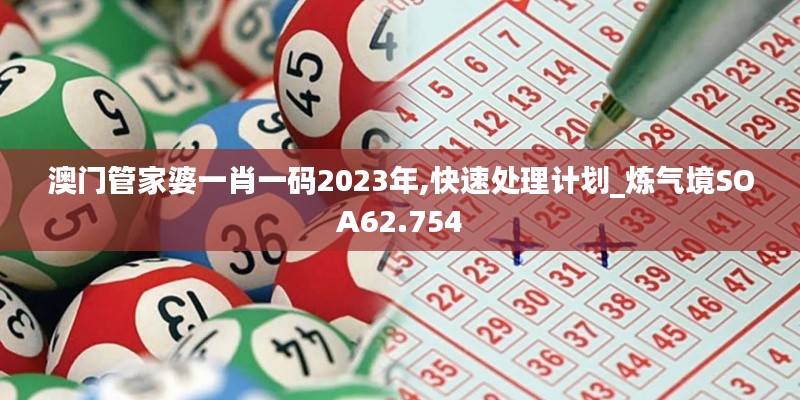 澳门管家婆一肖一码2023年,快速处理计划_炼气境SOA62.754