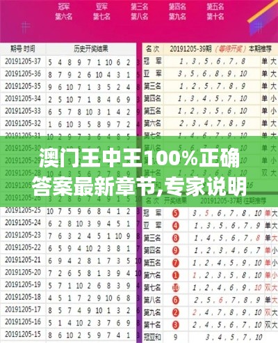 澳门王中王100%正确答案最新章节,专家说明解析_复古版86.977-1