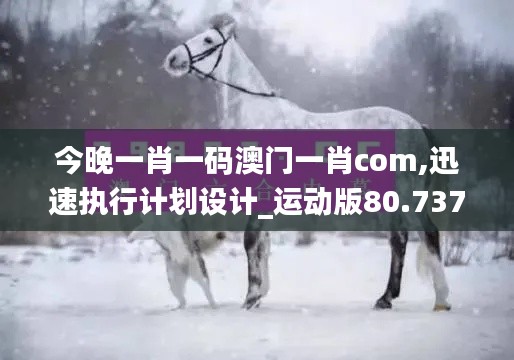 今晚一肖一码澳门一肖com,迅速执行计划设计_运动版80.737-5