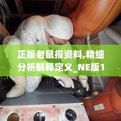 正版老鼠报资料,精细分析解释定义_NE版13.999-9