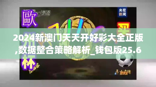 2024新澳门天天开好彩大全正版,数据整合策略解析_钱包版25.653-4