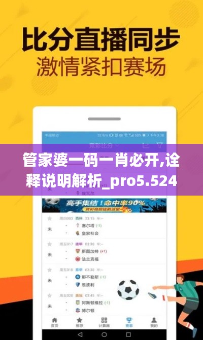管家婆一码一肖必开,诠释说明解析_pro5.524-3