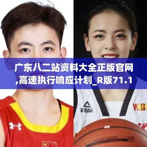 广东八二站资料大全正版官网,高速执行响应计划_R版71.119-7