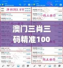 澳门三肖三码精准100%黄大仙,收益说明解析_移动版5.497-5