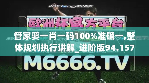 管家婆一肖一码100%准确一,整体规划执行讲解_进阶版94.157-8