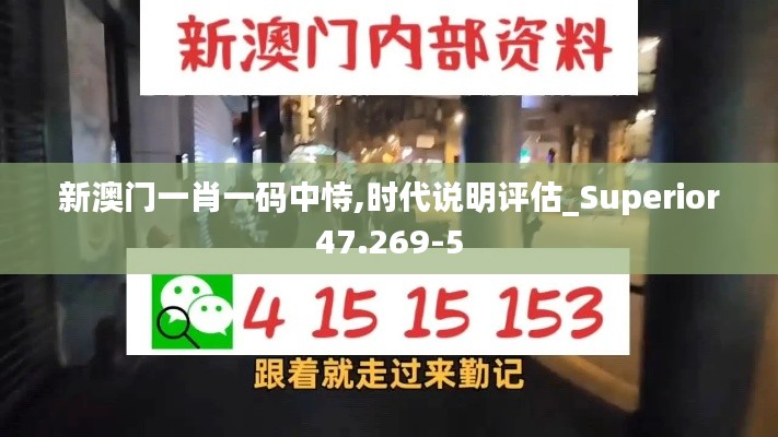新澳门一肖一码中恃,时代说明评估_Superior47.269-5