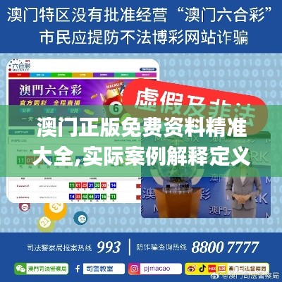 澳门正版免费资料精准大全,实际案例解释定义_bundle86.397-3