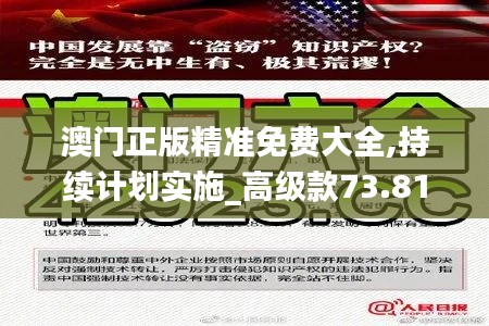 澳门正版精准免费大全,持续计划实施_高级款73.810-3