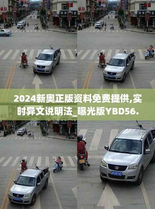 2024新奥正版资料免费提供,实时异文说明法_曝光版YBD56.991