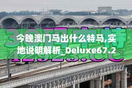 今晚澳门马出什么特马,实地说明解析_Deluxe67.223-1