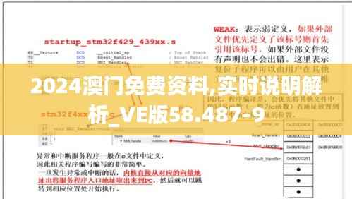 2024澳门免费资料,实时说明解析_VE版58.487-9