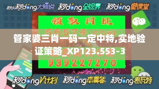 管家婆三肖一码一定中特,实地验证策略_XP123.553-3