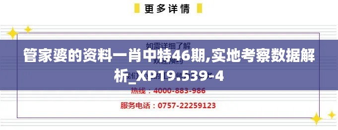 管家婆的资料一肖中特46期,实地考察数据解析_XP19.539-4