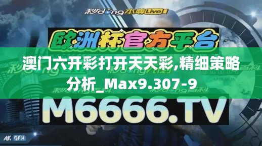 澳门六开彩打开天天彩,精细策略分析_Max9.307-9