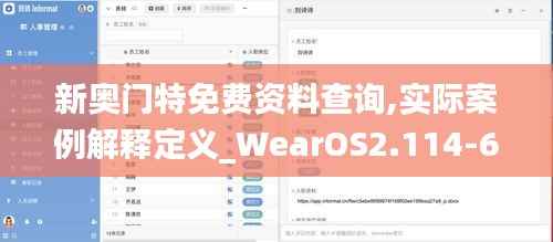 新奥门特免费资料查询,实际案例解释定义_WearOS2.114-6