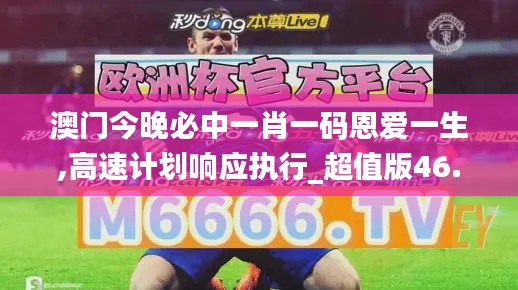 澳门今晚必中一肖一码恩爱一生,高速计划响应执行_超值版46.153-8