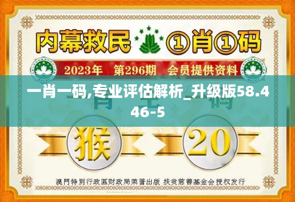 一肖一码,专业评估解析_升级版58.446-5