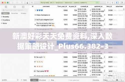 新澳好彩天天免费资料,深入数据策略设计_Plus66.382-3