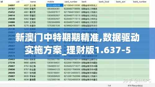 新澳门中特期期精准,数据驱动实施方案_理财版1.637-5