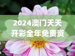 2024澳门天天开彩全年免费资料,实践性执行计划_桌面款11.484-3
