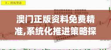 澳门正版资料免费精准,系统化推进策略探讨_扩展版99.610-7